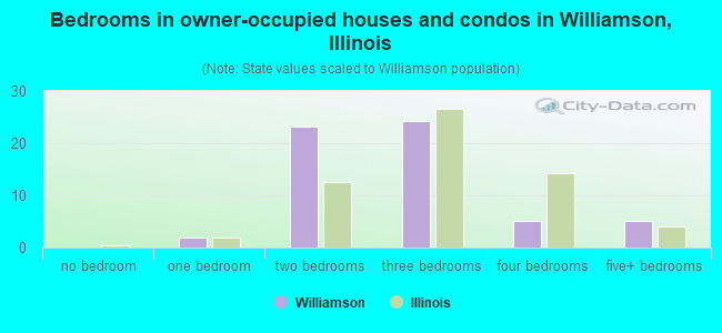 Bedrooms in owner-occupied houses and condos in Williamson, Illinois