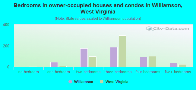 Bedrooms in owner-occupied houses and condos in Williamson, West Virginia