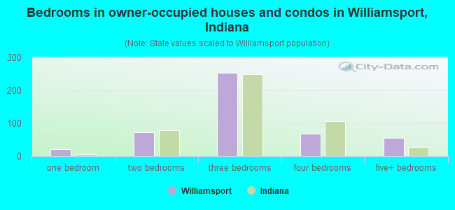 Bedrooms in owner-occupied houses and condos in Williamsport, Indiana