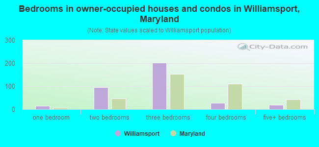 Bedrooms in owner-occupied houses and condos in Williamsport, Maryland