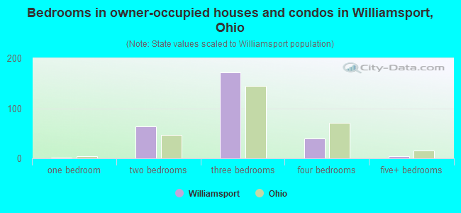 Bedrooms in owner-occupied houses and condos in Williamsport, Ohio