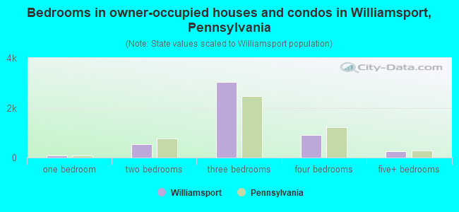 Bedrooms in owner-occupied houses and condos in Williamsport, Pennsylvania
