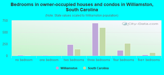 Bedrooms in owner-occupied houses and condos in Williamston, South Carolina