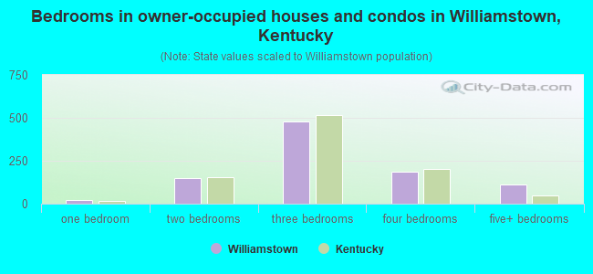 Bedrooms in owner-occupied houses and condos in Williamstown, Kentucky