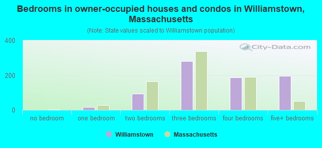 Bedrooms in owner-occupied houses and condos in Williamstown, Massachusetts