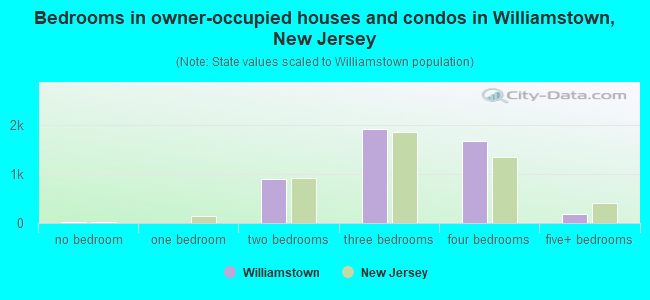 Bedrooms in owner-occupied houses and condos in Williamstown, New Jersey
