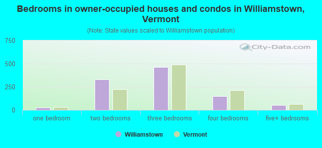 Bedrooms in owner-occupied houses and condos in Williamstown, Vermont