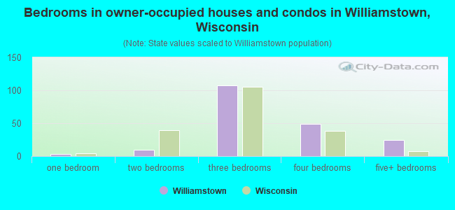 Bedrooms in owner-occupied houses and condos in Williamstown, Wisconsin