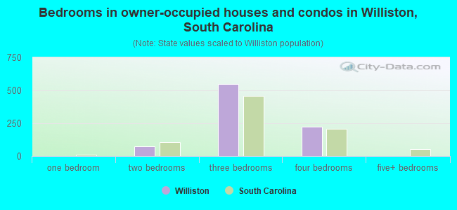 Bedrooms in owner-occupied houses and condos in Williston, South Carolina