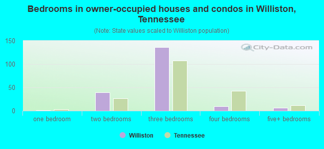 Bedrooms in owner-occupied houses and condos in Williston, Tennessee
