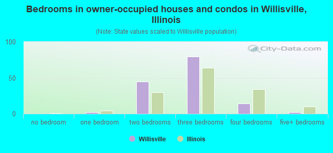 Bedrooms in owner-occupied houses and condos in Willisville, Illinois