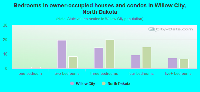 Bedrooms in owner-occupied houses and condos in Willow City, North Dakota