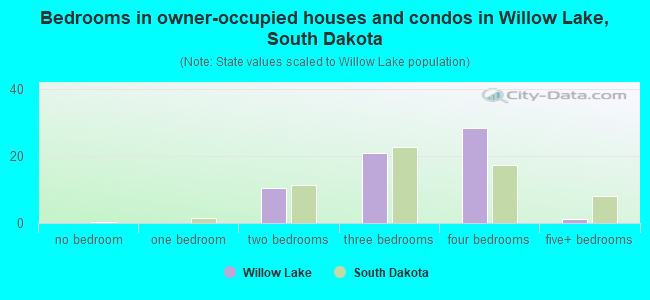 Bedrooms in owner-occupied houses and condos in Willow Lake, South Dakota