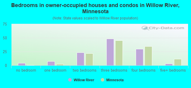 Bedrooms in owner-occupied houses and condos in Willow River, Minnesota