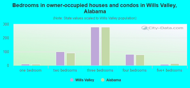 Bedrooms in owner-occupied houses and condos in Wills Valley, Alabama