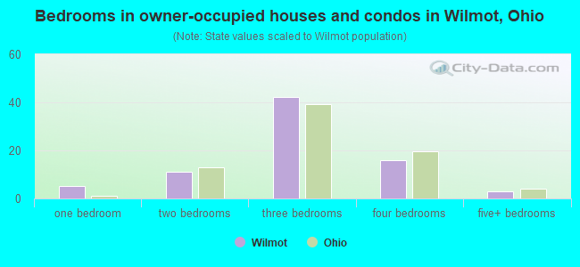 Bedrooms in owner-occupied houses and condos in Wilmot, Ohio