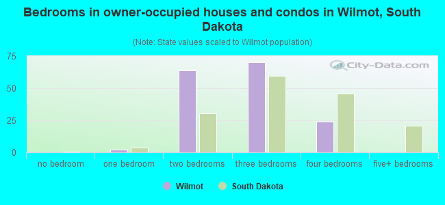 Bedrooms in owner-occupied houses and condos in Wilmot, South Dakota
