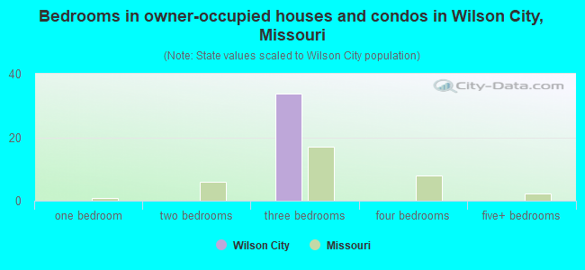 Bedrooms in owner-occupied houses and condos in Wilson City, Missouri