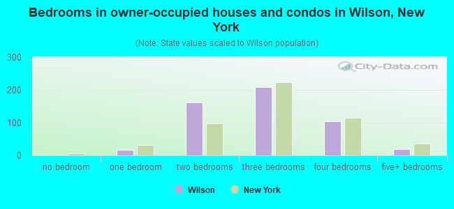 Bedrooms in owner-occupied houses and condos in Wilson, New York