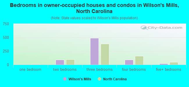 Bedrooms in owner-occupied houses and condos in Wilson's Mills, North Carolina