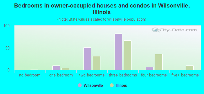 Bedrooms in owner-occupied houses and condos in Wilsonville, Illinois