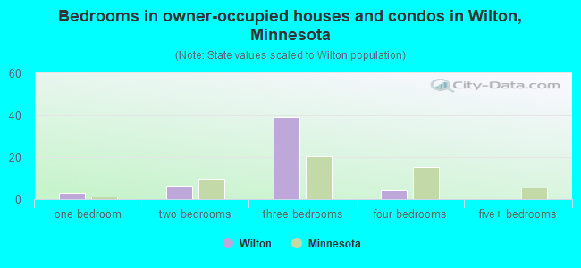 Bedrooms in owner-occupied houses and condos in Wilton, Minnesota