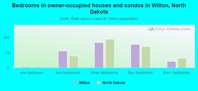 Bedrooms in owner-occupied houses and condos in Wilton, North Dakota