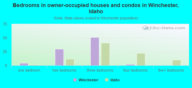 Bedrooms in owner-occupied houses and condos in Winchester, Idaho