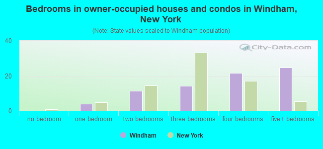 Bedrooms in owner-occupied houses and condos in Windham, New York