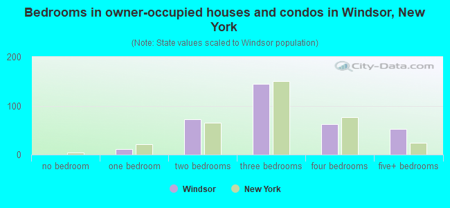 Bedrooms in owner-occupied houses and condos in Windsor, New York