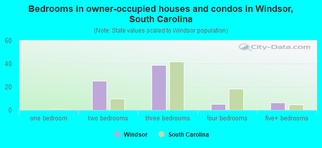 Bedrooms in owner-occupied houses and condos in Windsor, South Carolina