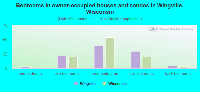 Bedrooms in owner-occupied houses and condos in Wingville, Wisconsin