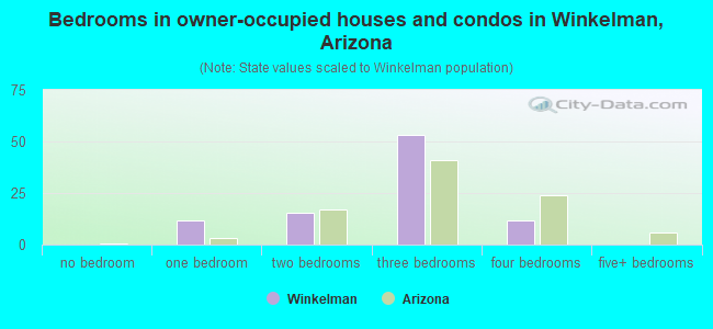 Bedrooms in owner-occupied houses and condos in Winkelman, Arizona