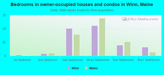 Bedrooms in owner-occupied houses and condos in Winn, Maine