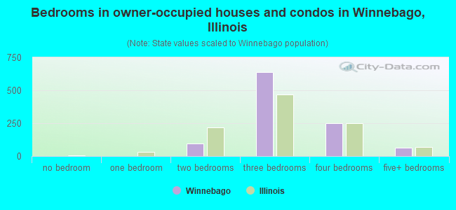 Bedrooms in owner-occupied houses and condos in Winnebago, Illinois