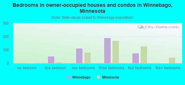 Bedrooms in owner-occupied houses and condos in Winnebago, Minnesota