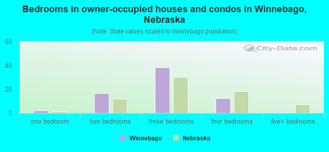Bedrooms in owner-occupied houses and condos in Winnebago, Nebraska