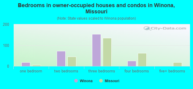 Bedrooms in owner-occupied houses and condos in Winona, Missouri