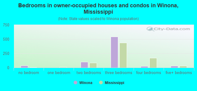 Bedrooms in owner-occupied houses and condos in Winona, Mississippi