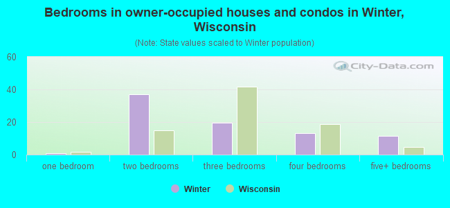 Bedrooms in owner-occupied houses and condos in Winter, Wisconsin