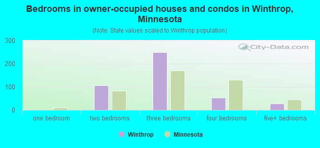 Bedrooms in owner-occupied houses and condos in Winthrop, Minnesota