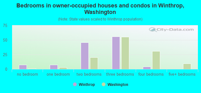 Bedrooms in owner-occupied houses and condos in Winthrop, Washington