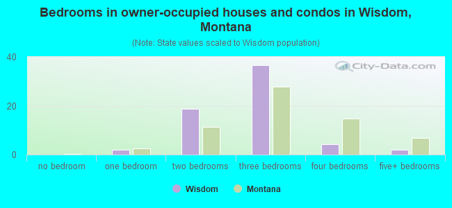 Bedrooms in owner-occupied houses and condos in Wisdom, Montana