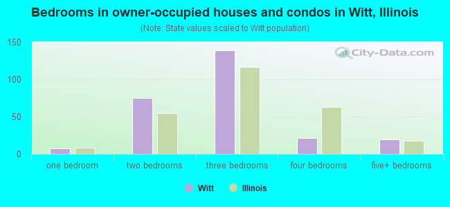 Bedrooms in owner-occupied houses and condos in Witt, Illinois