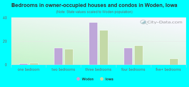 Bedrooms in owner-occupied houses and condos in Woden, Iowa