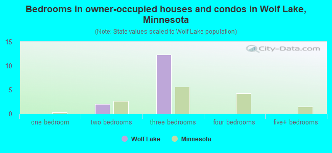 Bedrooms in owner-occupied houses and condos in Wolf Lake, Minnesota