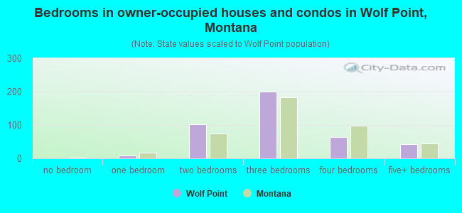 Bedrooms in owner-occupied houses and condos in Wolf Point, Montana