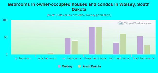 Bedrooms in owner-occupied houses and condos in Wolsey, South Dakota