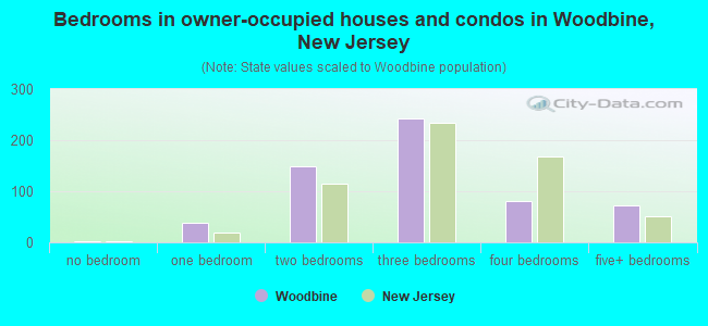 Bedrooms in owner-occupied houses and condos in Woodbine, New Jersey