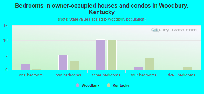 Bedrooms in owner-occupied houses and condos in Woodbury, Kentucky